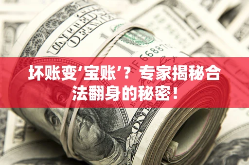 北京坏账变‘宝账’？专家揭秘合法翻身的秘密！