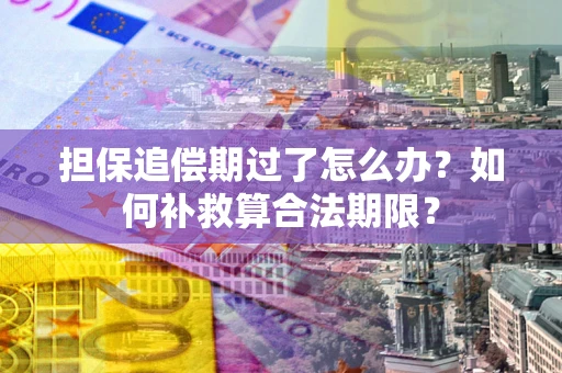 北京担保追偿期过了怎么办？如何补救算合法期限？