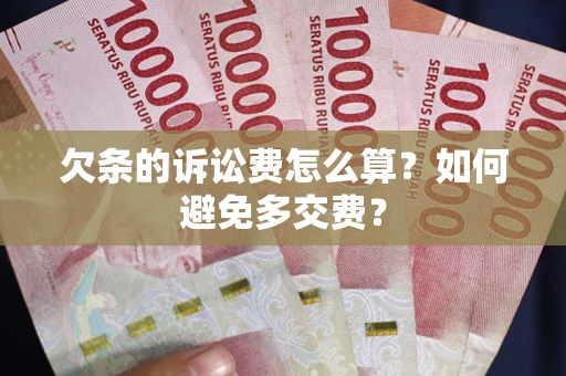 北京欠条的诉讼费怎么算？如何避免多交费？