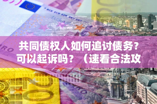 北京共同债权人如何追讨债务？可以起诉吗？（速看合法攻略）